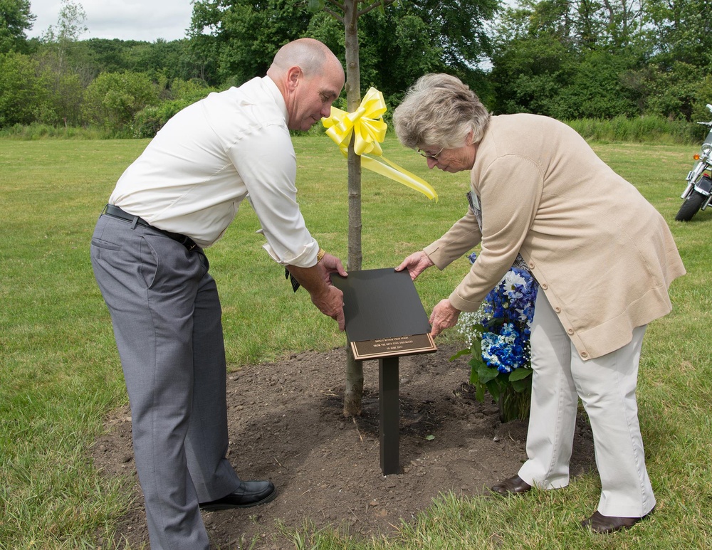 Tree dedication remembers three former employees