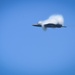 F-22 Raptor soars over Ocean City