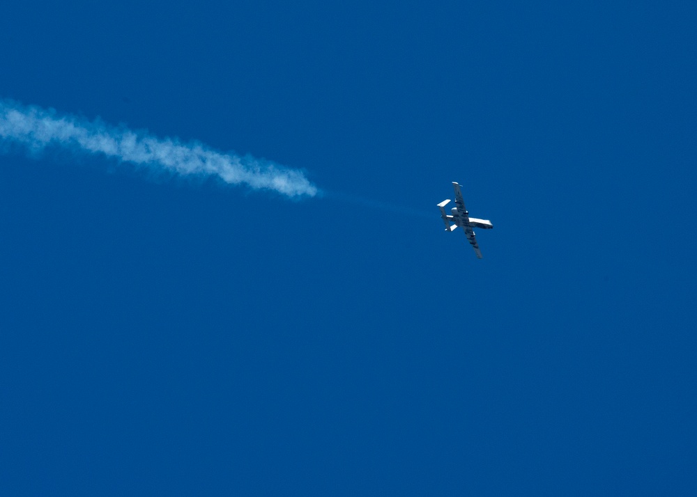 Idaho Trains to Fight