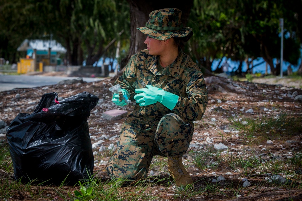 Beach Clean Up