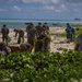 Beach Cleanup II