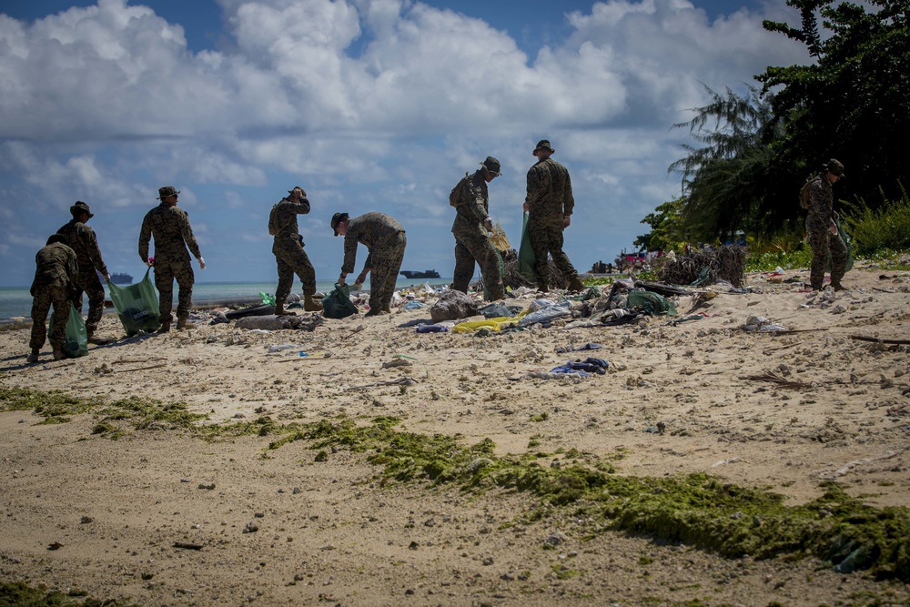 Beach Cleanup II