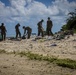 Beach Cleanup II