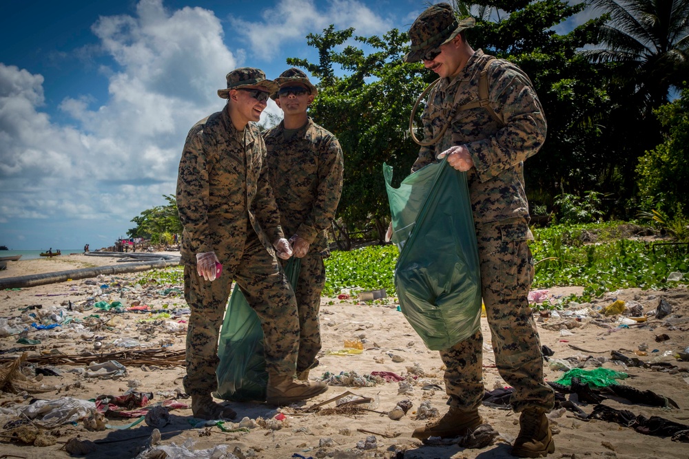 Beach Cleanup II