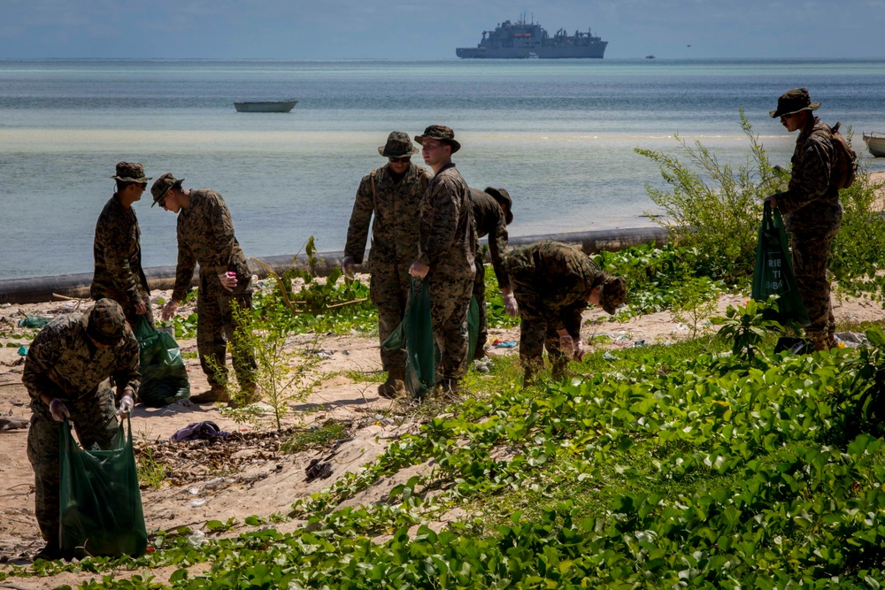 Beach Cleanup II