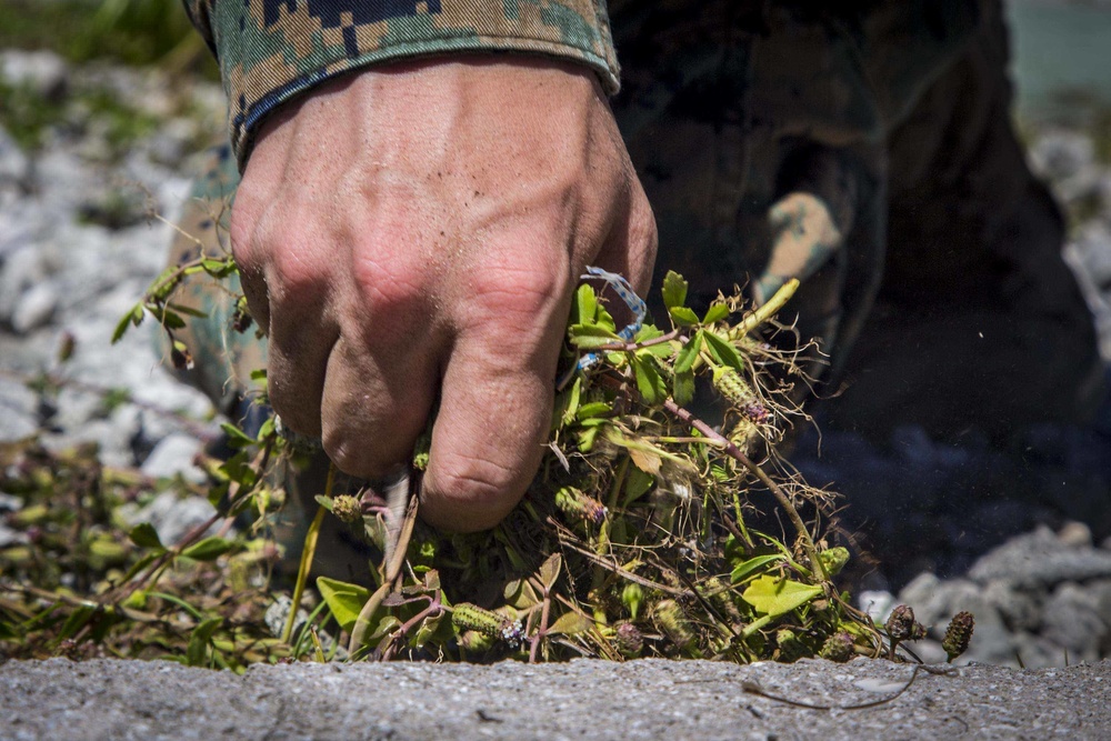 Tarawa Memorial Cleanup