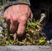 Tarawa Memorial Cleanup