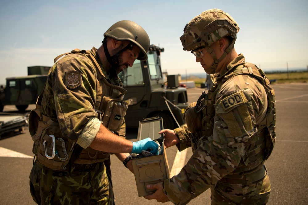 EOD Sabers train in multilateral IED Rodeo