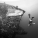 EOD Sailors Dive in Apra Harbor