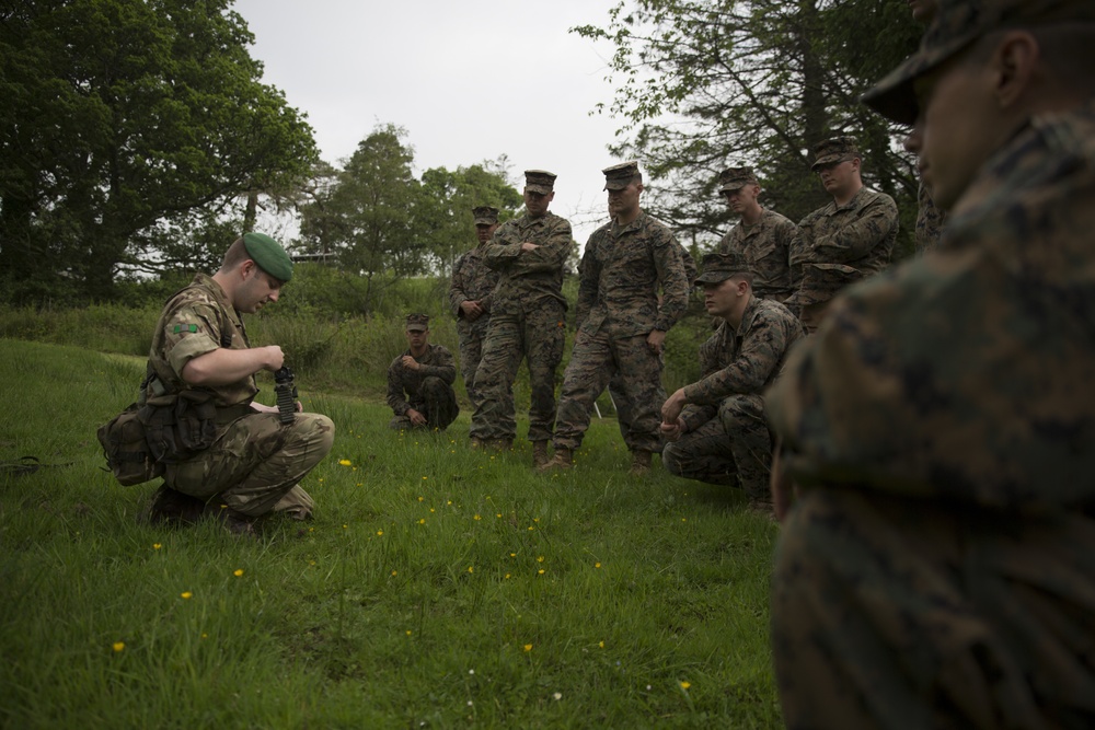 U.S. Marines and British soldiers team up for Exercise Phoenix Odyssey