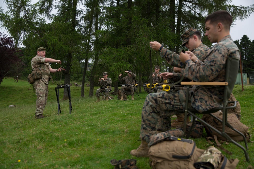 U.S. Marines and British soldiers team up for Exercise Phoenix Odyssey