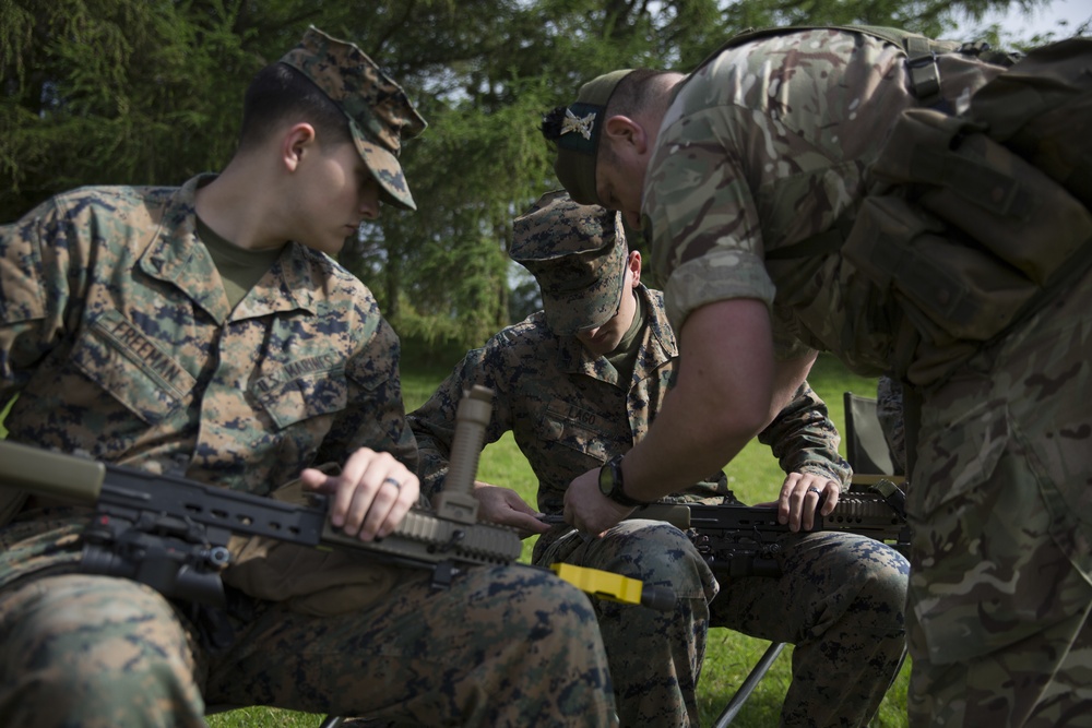 U.S. Marines and British soldiers team up for Exercise Phoenix Odyssey