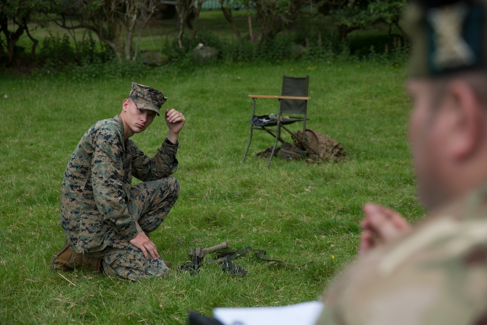 U.S. Marines and British soldiers team up for Exercise Phoenix Odyssey