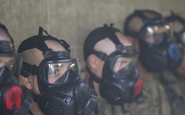 Alpha and Papa Company go through the Gas Chamber