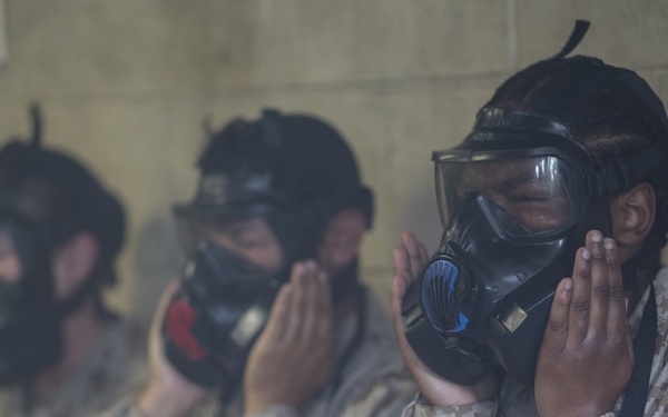 Alpha and Papa Company go through the Gas Chamber