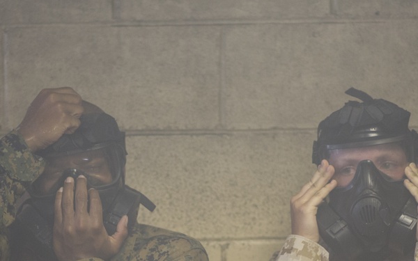 Alpha and Papa Company go through the Gas Chamber