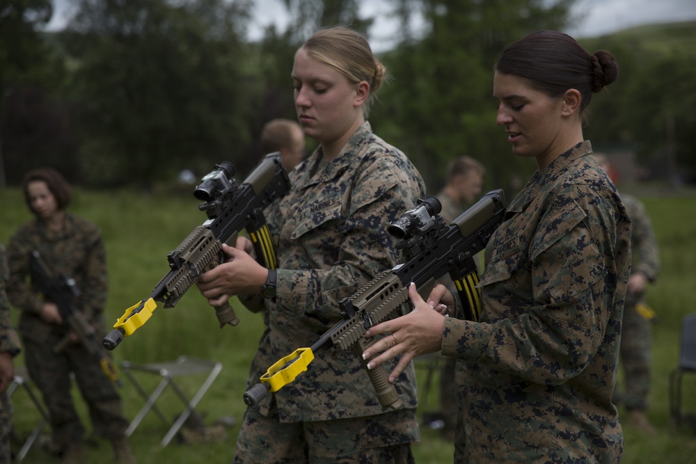 U.S. Marines and British soldiers team up for Exercise Phoenix Odyssey