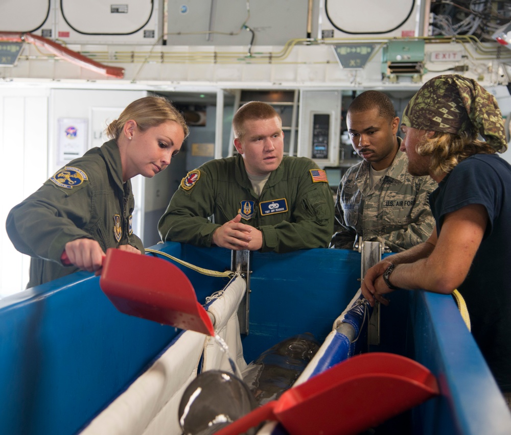 Travis transports dolphins to MMP San Diego