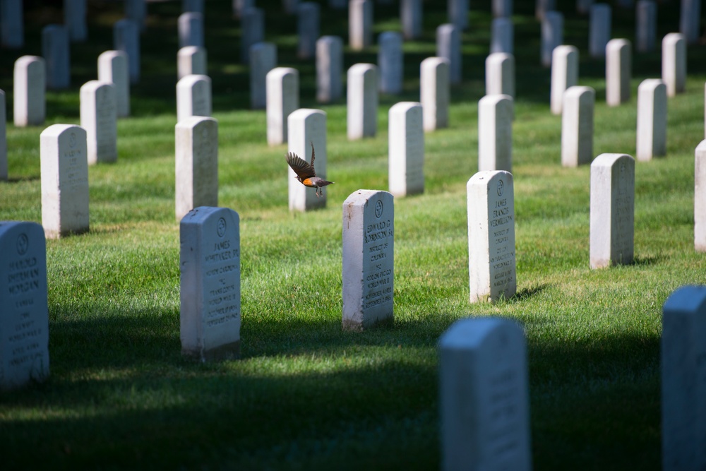 First Day of Summer 2017 at Arlington National Cemetery