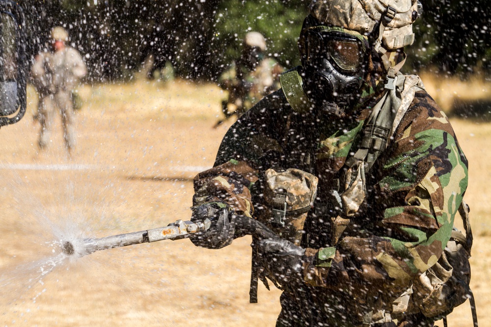DECON 4
