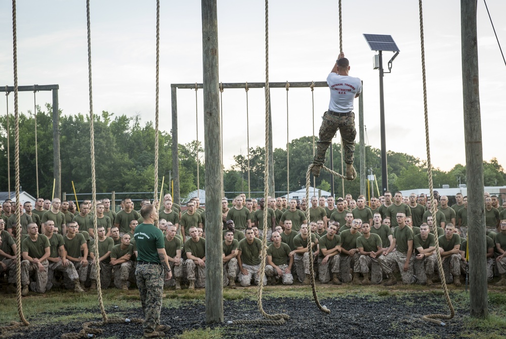 DVIDS - Images - Rope Climbing Physical Training [Image 41 of 55]