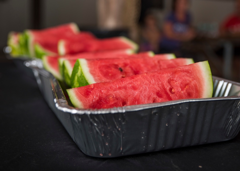 NSAB Holds 1st Command Picnic