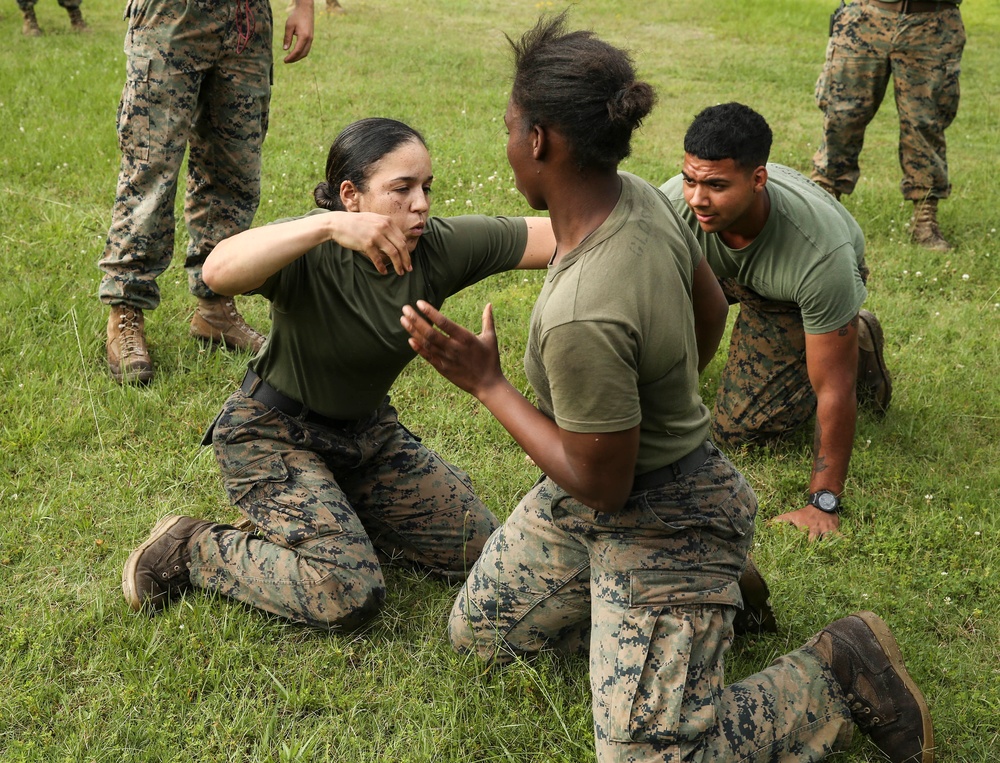 Marines and Sailors put to the test during the 2nd MLG Squad Competition