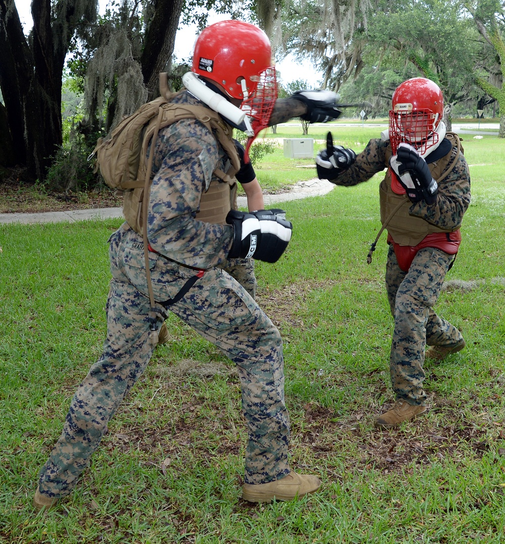 Marines complete Martial Arts Instructors Course