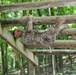 BN Squad STX Confidence Course