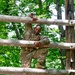 BN Squad STX Confidence Course