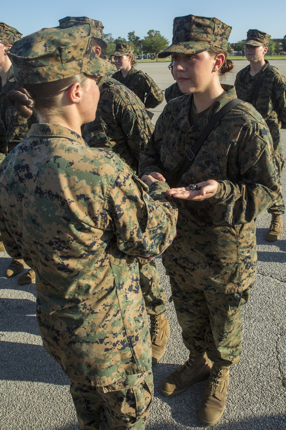Recruits conquer Crucible, earn title Marine on Parris Island