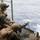 Marine Live-Fire aboard USS Bonhomme Richard (LHD 6)