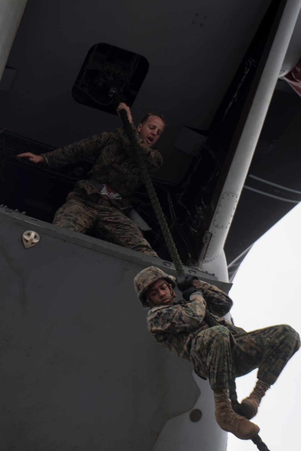 31st MEU Fast Roping and Rappelling