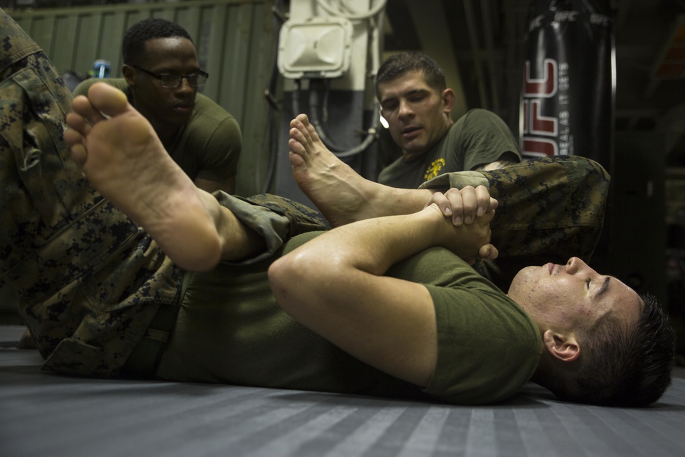 Faces of the MEU, Sgt. Loychik, MCMAP instructor