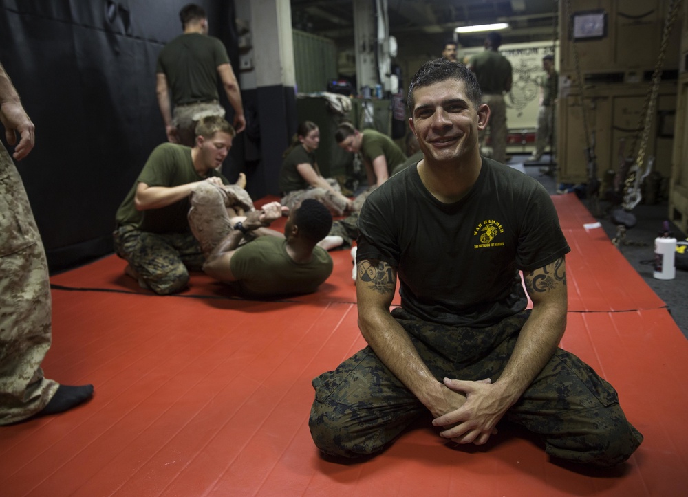 Faces of the MEU, Sgt. Loychik, MCMAP instructor