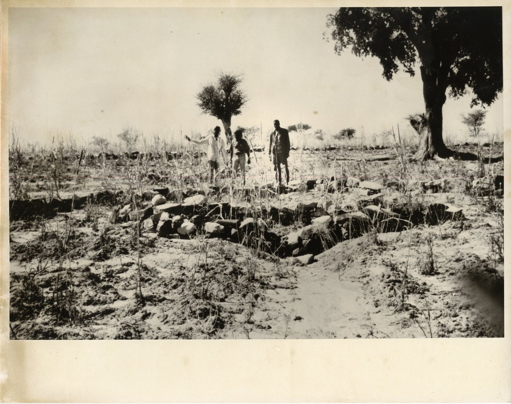 Desert Locust Infestation Meeting Jay Morris