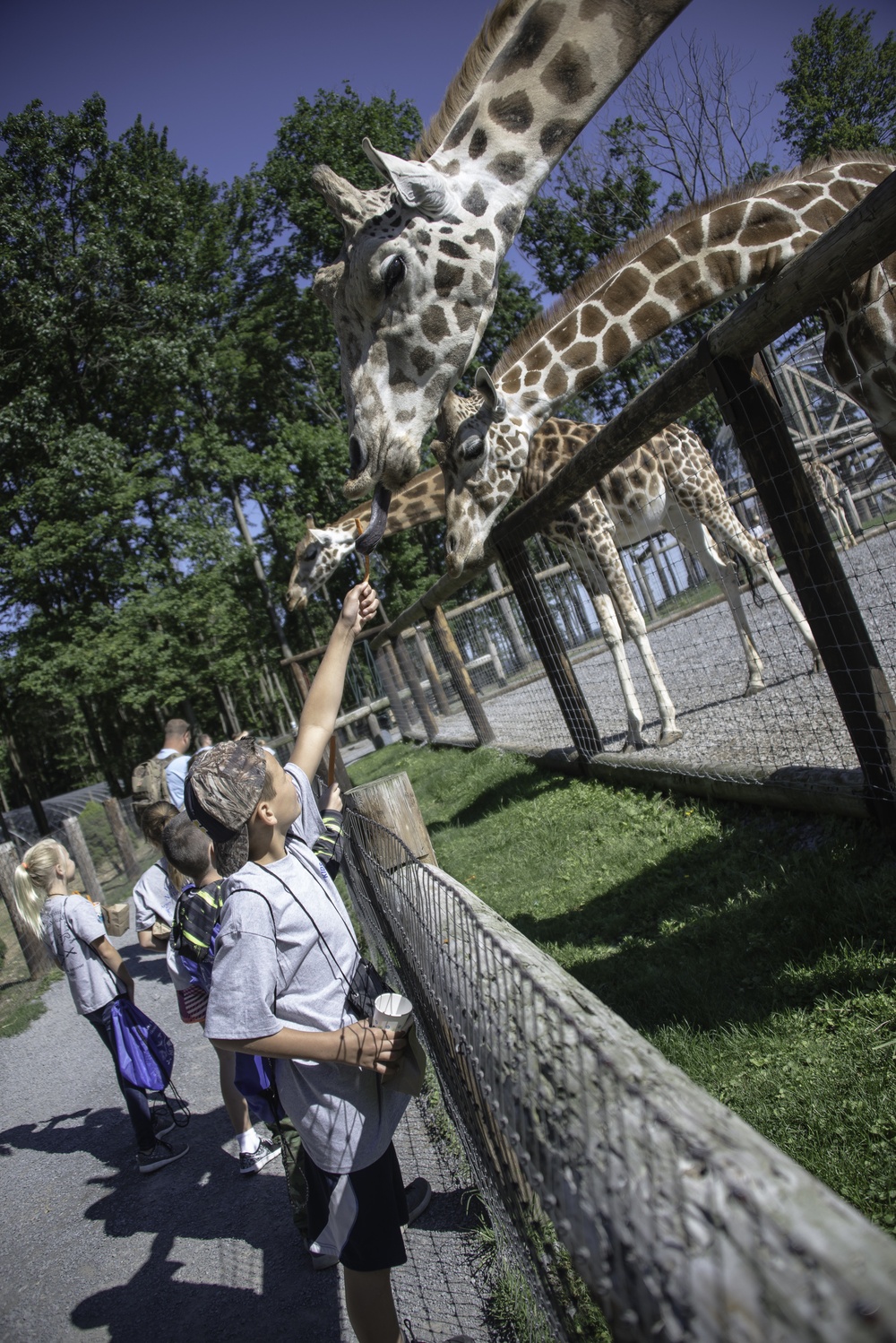 Camp Dawson Celebrates Kids Kamp 25th Anniversary