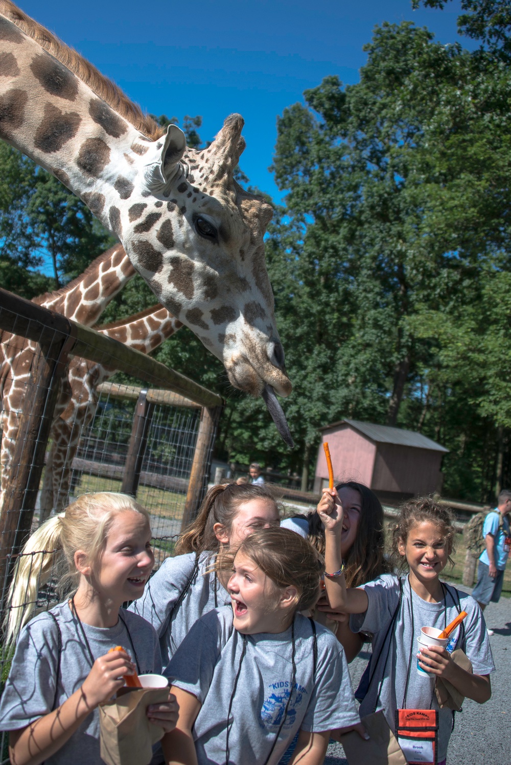 Camp Dawson Celebrates Kids Kamp 25th Anniversary