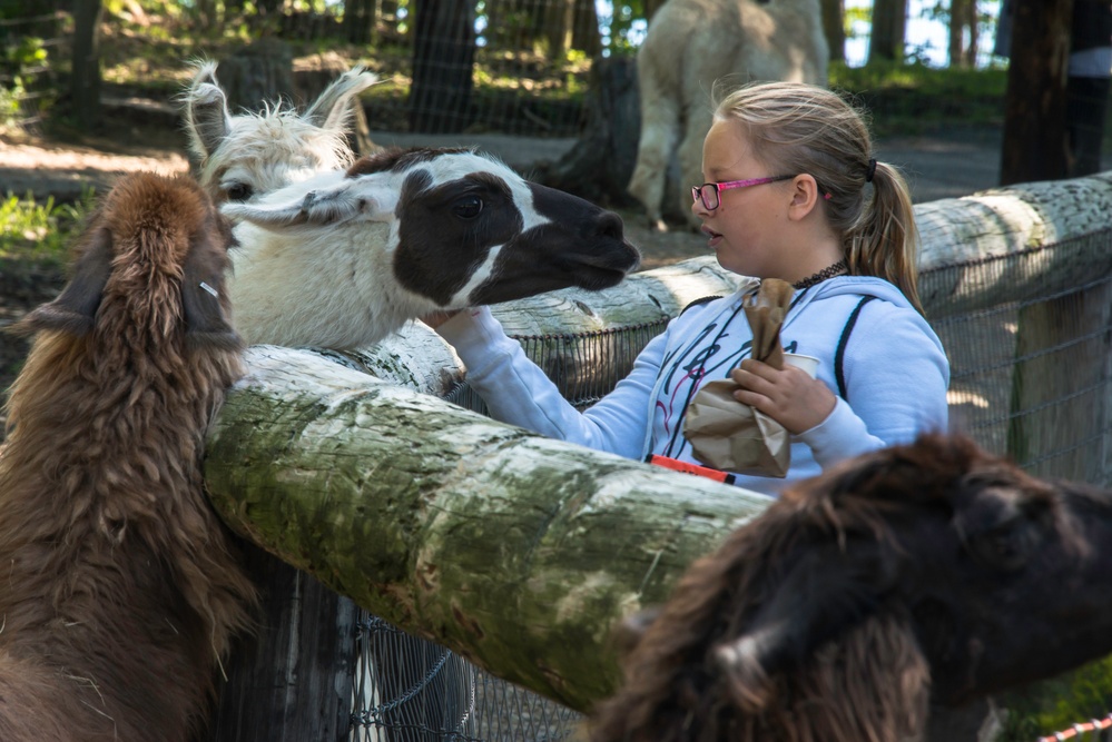 Camp Dawson Celebrates Kids Kamp 25th Anniversary