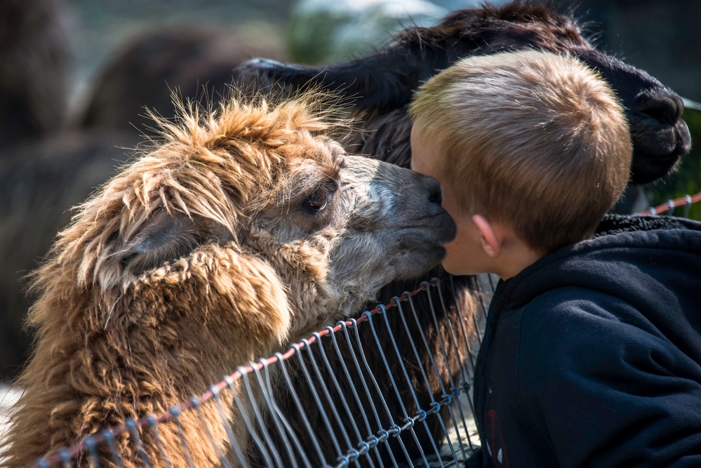 Camp Dawson Celebrates Kids Kamp 25th Anniversary