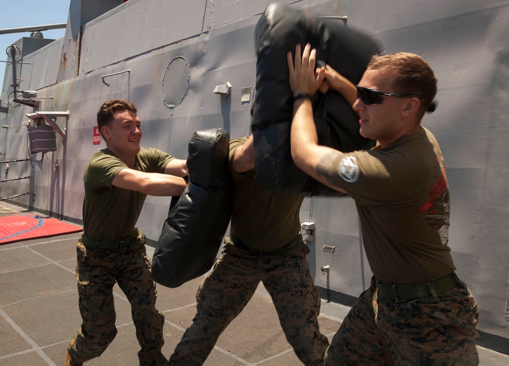 LAR Marines conduct O.C. course