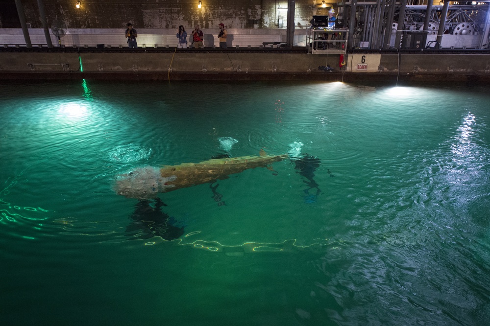 14th International Submarine Race