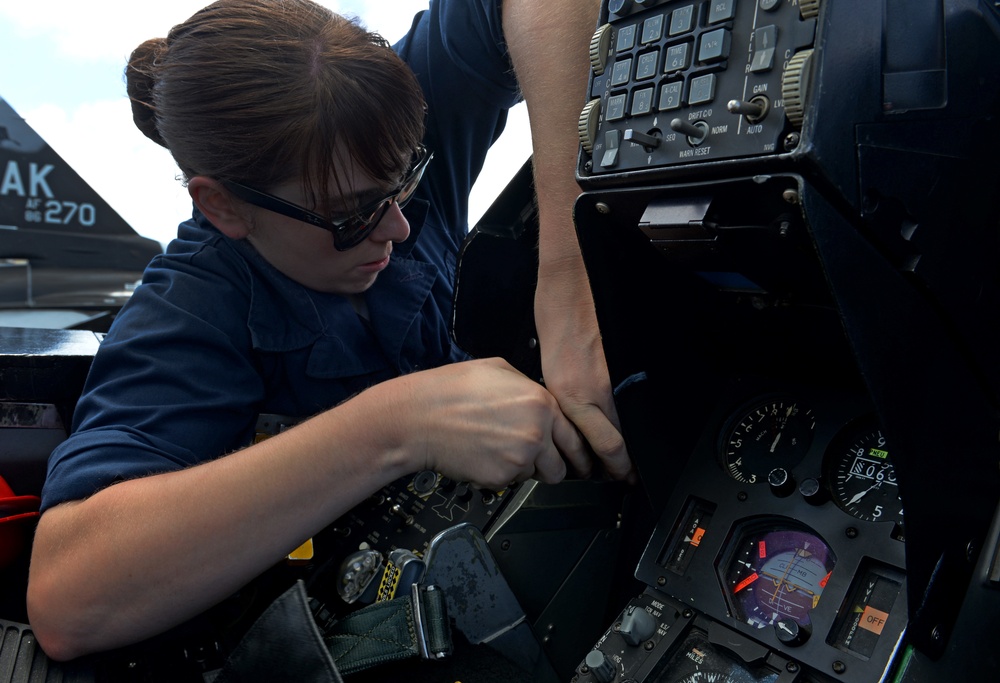 18th Aggressor Squadron plays key role in Exercisse Cope North 2017