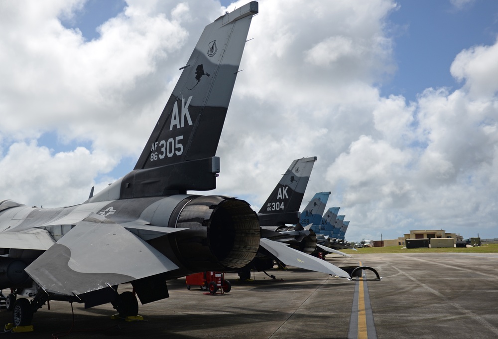 18th Aggressor Squadron plays key role in Exercisse Cope North 2017