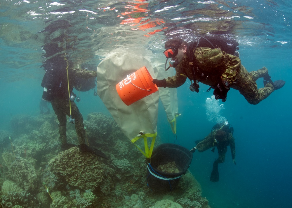 EODMU 5 Coral Reef Restoration