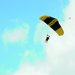 The Golden Touch -- Army's elite parachute team makes an appearance in Central Virginia