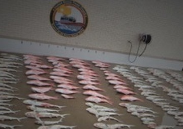 Coast Guard interdicts lancha