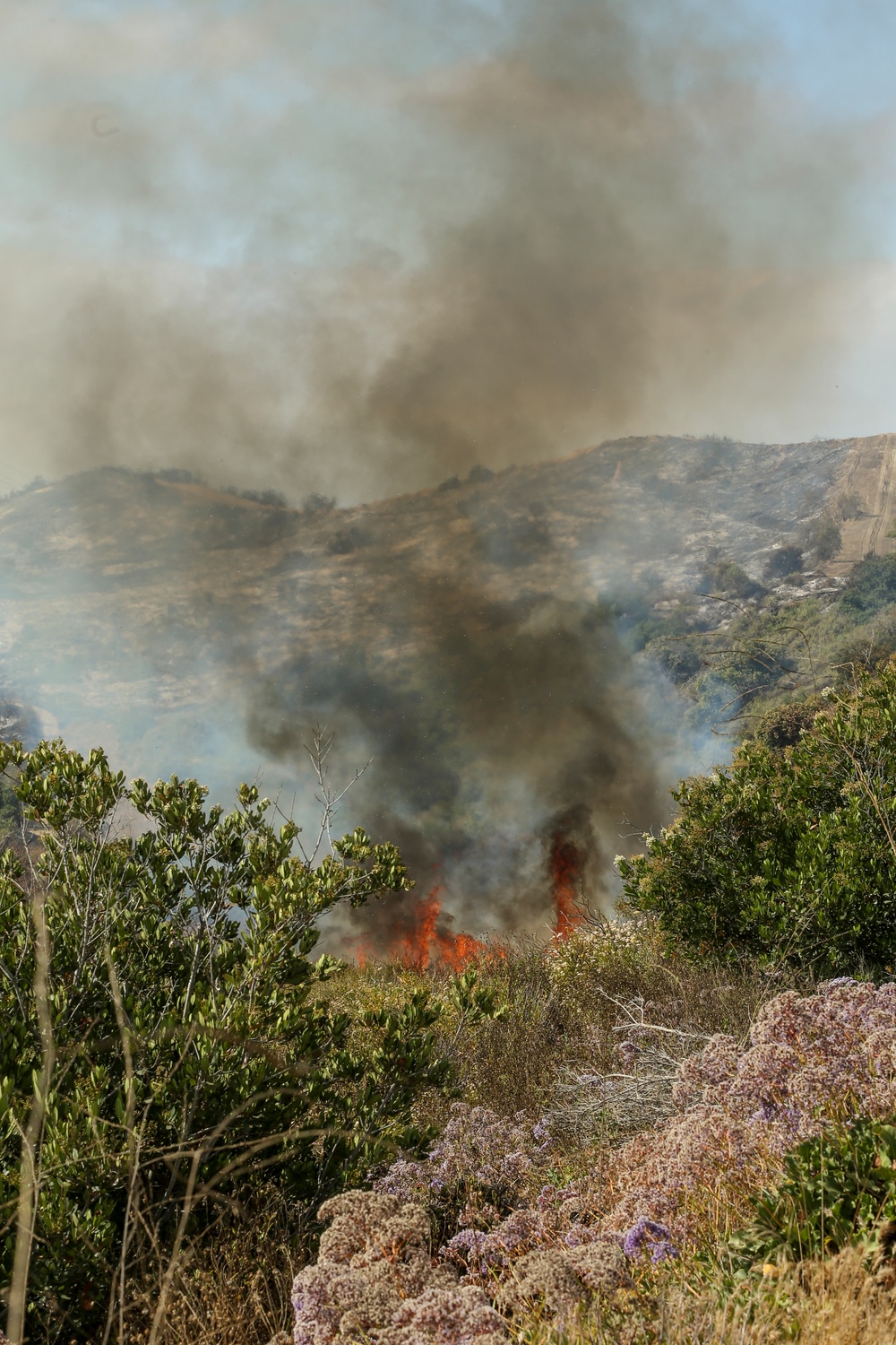 The Cristianitos Fire