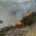 The Cristianitos Fire