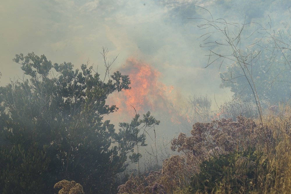 The Cristianitos Fire